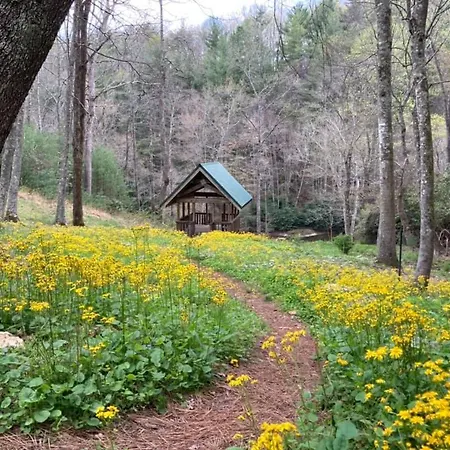 Little River Cabin Sparta Exterior foto